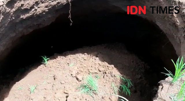 Sinkhole Kembali Terjadi di Girisubo, Dua Kejadian di Awal Tahun 