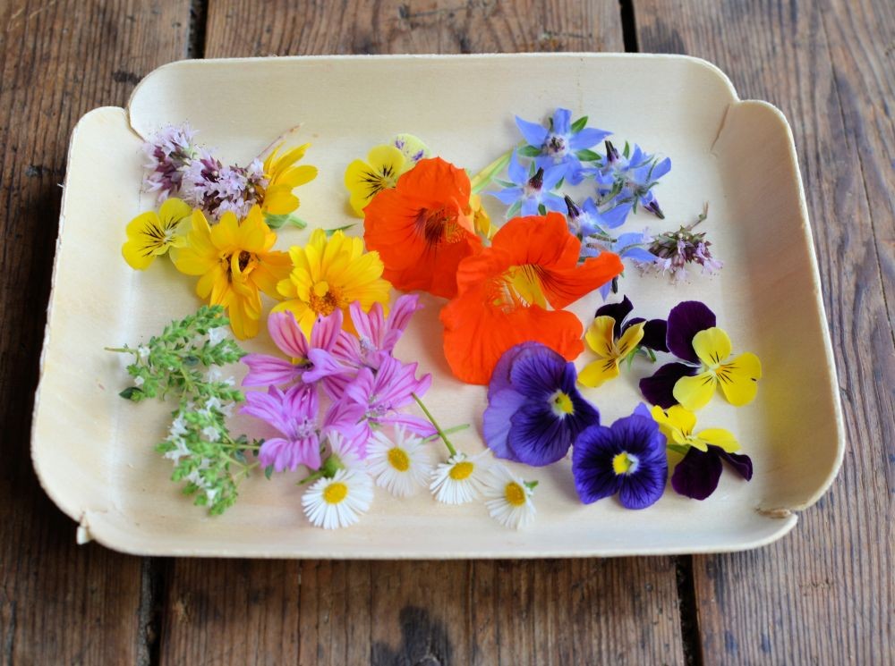  Resep  Membuat Puding  Edible  Flower  yang Unik dan Super Cantik