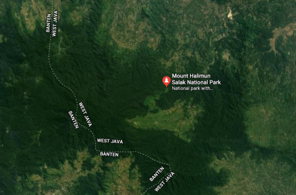30 Ekor Kukang Jawa Kembali ke Habitat Aslinya di TNGHS