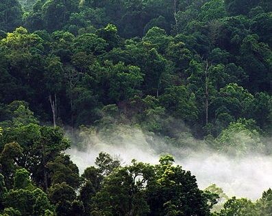 7 Rekomendasi Gunung di Banten, Ada Negeri di Atas Awan
