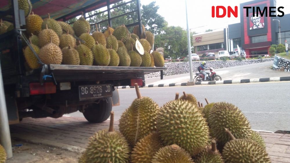 Mulai Banjiri Palembang, Yuk Pilih Durian Manis dengan Cara Ini