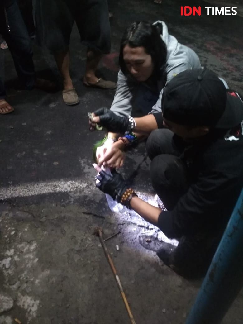 Warga Semarang Diteror Puluhan Ular Berbisa, Ada Kobra di Pemukiman