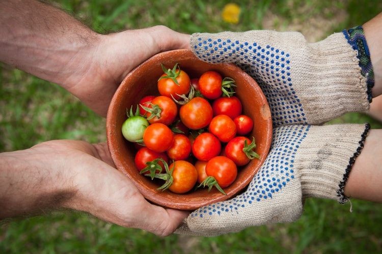 Bisa Rusak, Hindari Simpan 10 Makanan dan Minuman Ini di Freezer