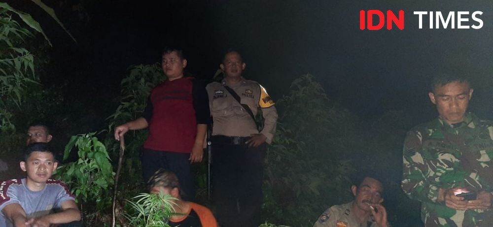 Polisi Amankan Puluhan Tanaman Ganja di Kabupaten Garut