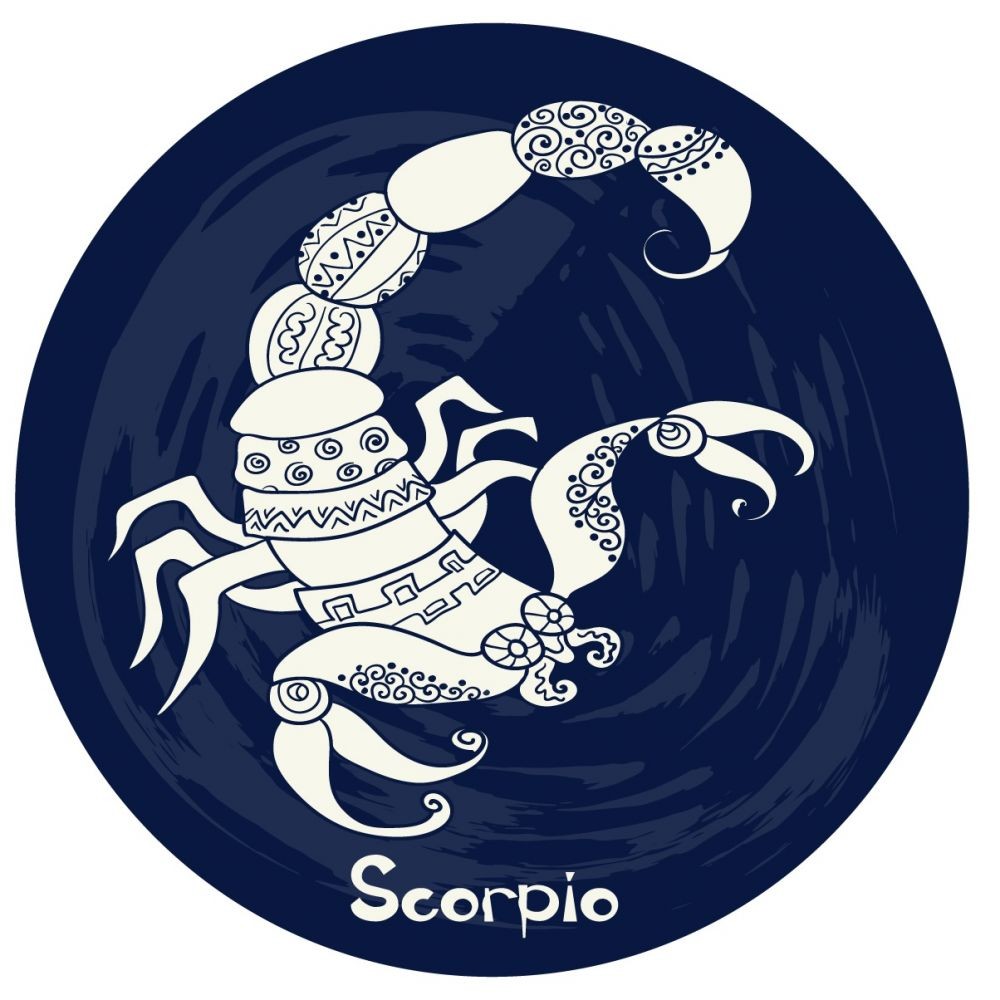 Рыба гороскоп на 2024. Гороскоп на 2024 год Скорпион. Монета фен шуй со знаками зодиака. Скорпион и петух.