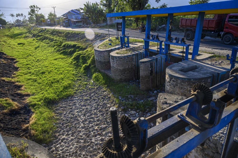 Imbas Hujan Deras, Tiga Desa di Pringsewu Tergenang