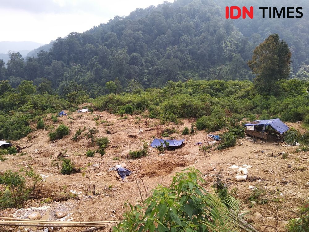 Usai Banjir dan Longsor Lebak, 4 Ribu Hektare Lahan di TNGHS Rusak