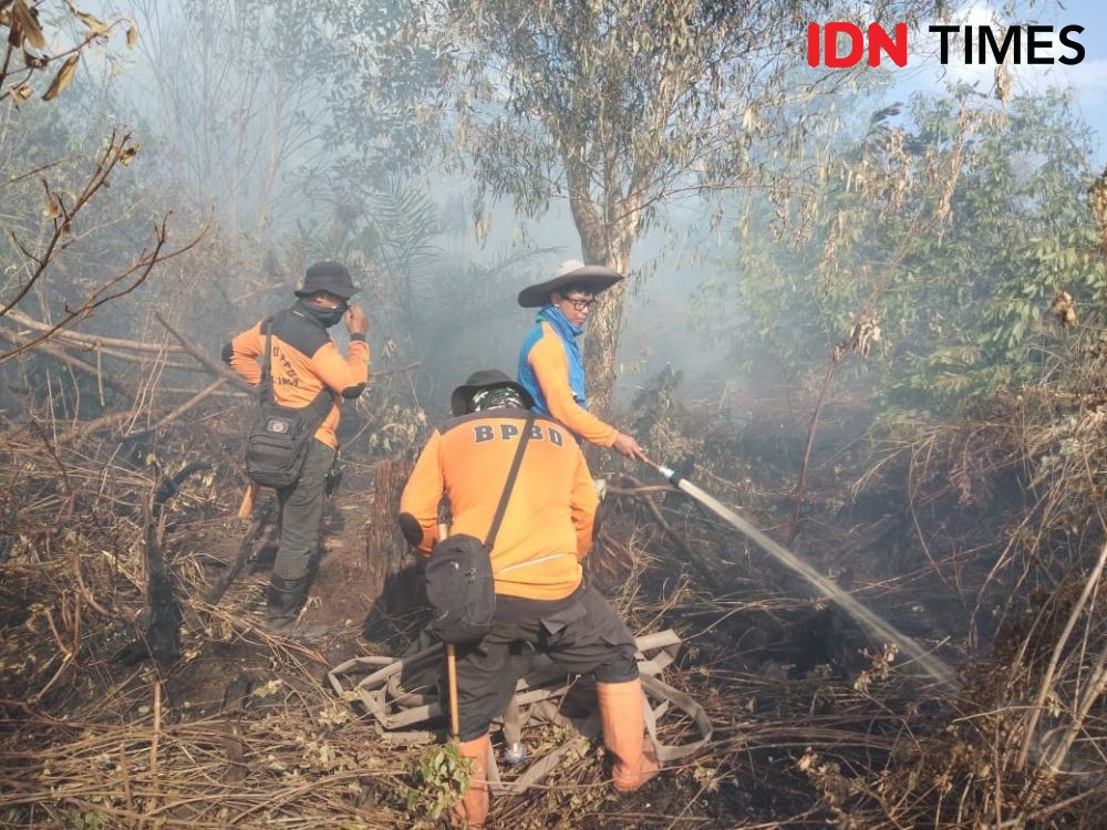 5 Hektare Lahan Gambut di Penajam Paser Utara Dilalap Api