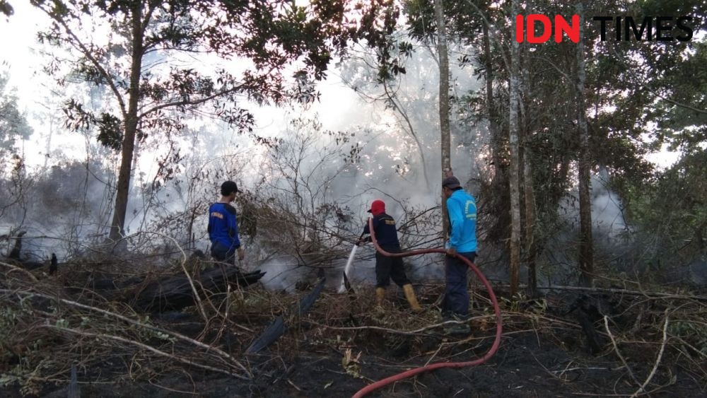 5 Hektare Lahan Gambut di Penajam Paser Utara Dilalap Api