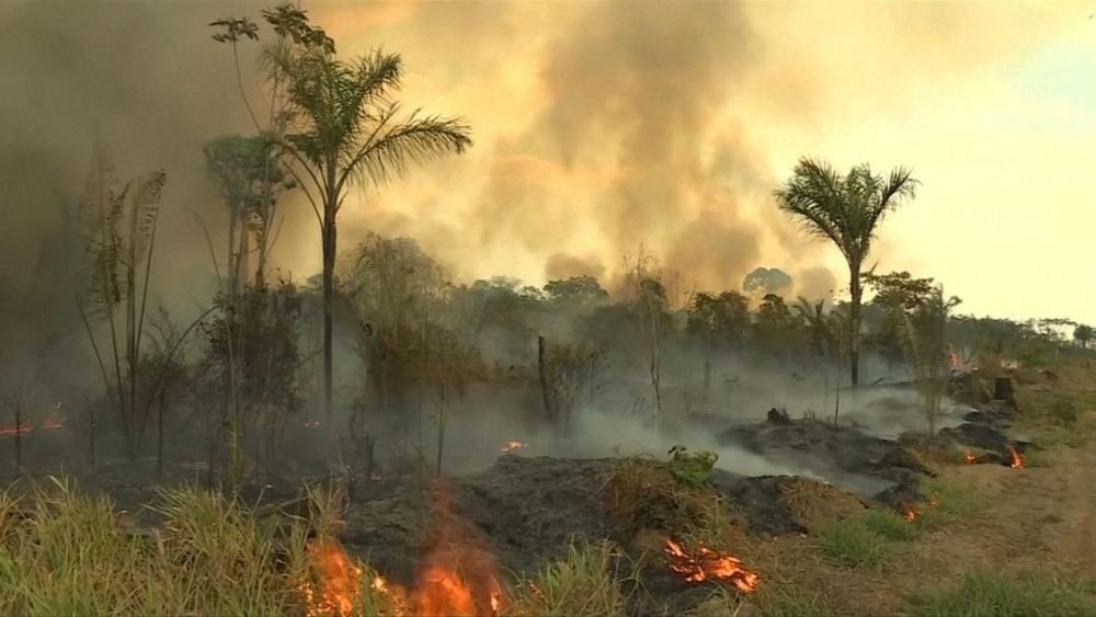 Ancaman COVID-19 Belum Selesai, Kebakaran Hutan Mengintai