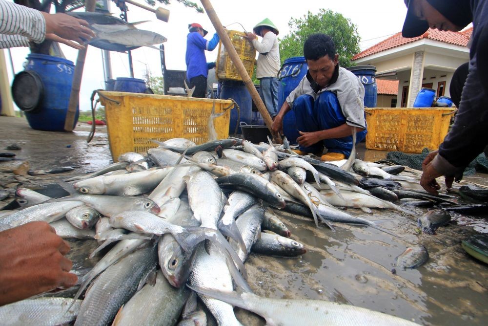 Sepi Pembeli, Pasar Ikan Bersih Prabumulih Kini Ditinggal Pedagang