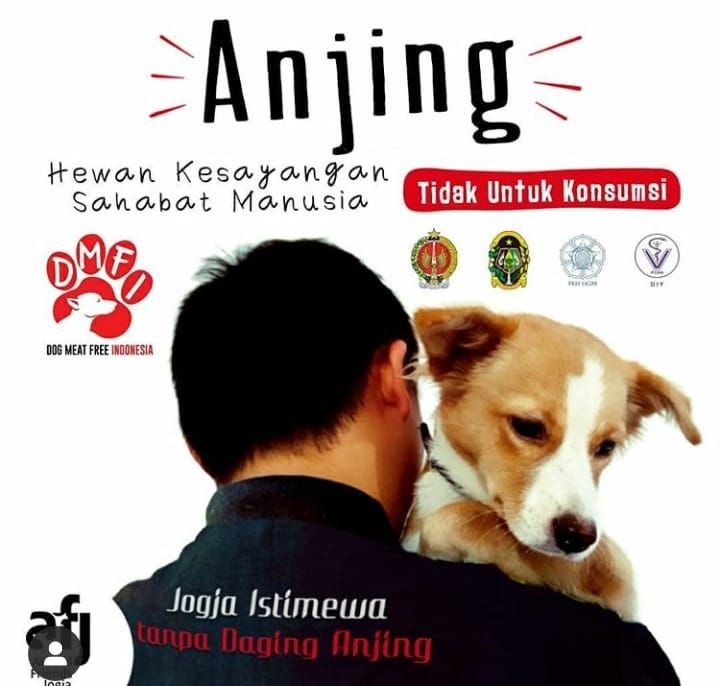Khawatir Penyebaran Corona, Dog Meat Free Kirim Surat ke Jokowi