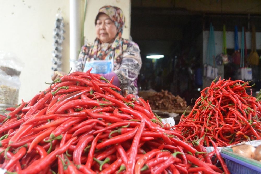 Harga Cabai Merah Rp100 Ribu/Kg, Petani Cirebon Raup Untung Berlipat 