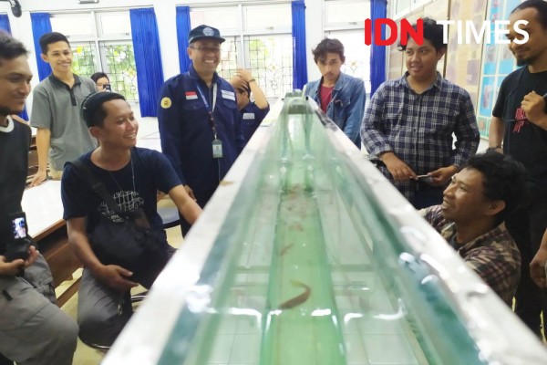 Produksi Wader Turun, Dosen UGM Ciptakan Teknologi Peningkatan Panen
