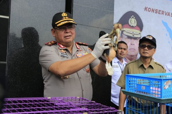 Polda Jatim Gagalkan Penjualan Puluhan Burung Langka Dan Kerang