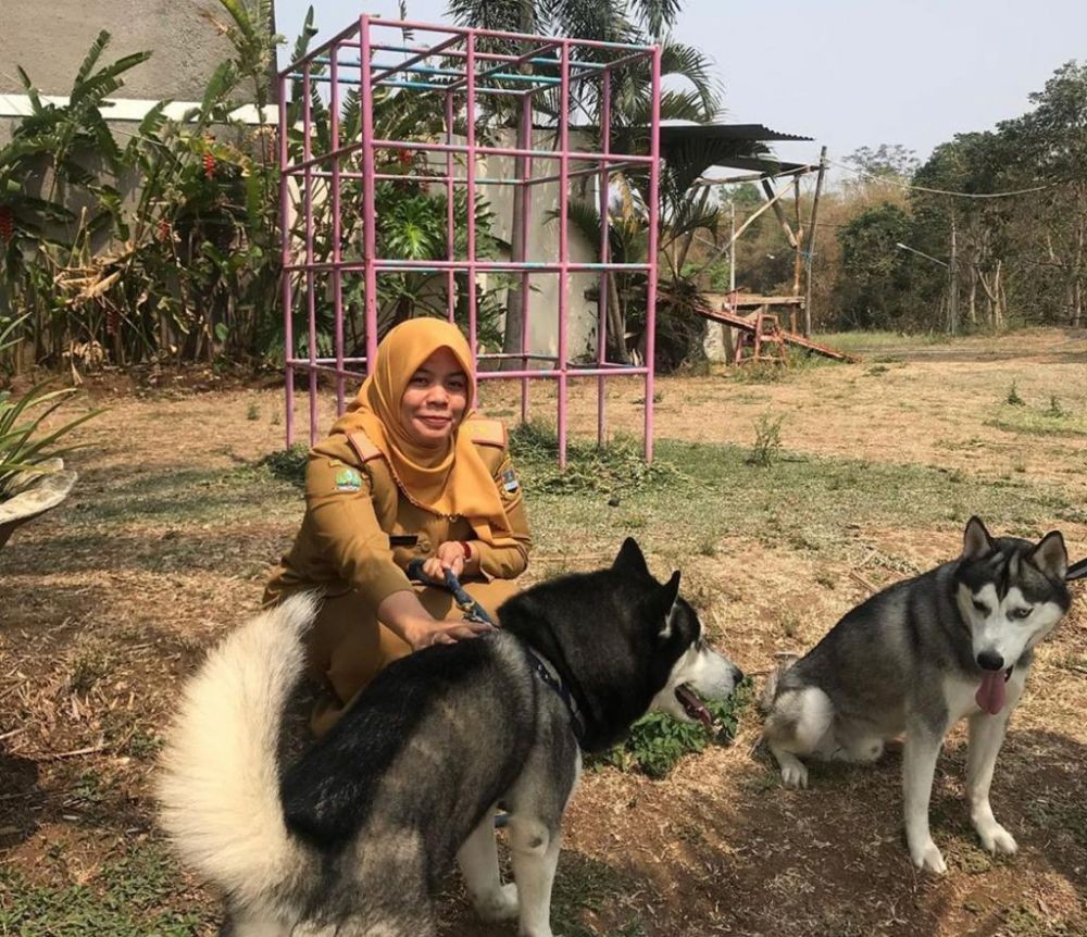 Teror Anjing Galak di KBB Resahkan Warga Gununghalu