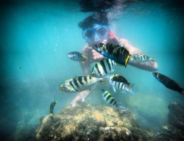 Menikmati Keindahan Laut, 5 Pantai di Jogja Ini Cocok untuk Snorkeling