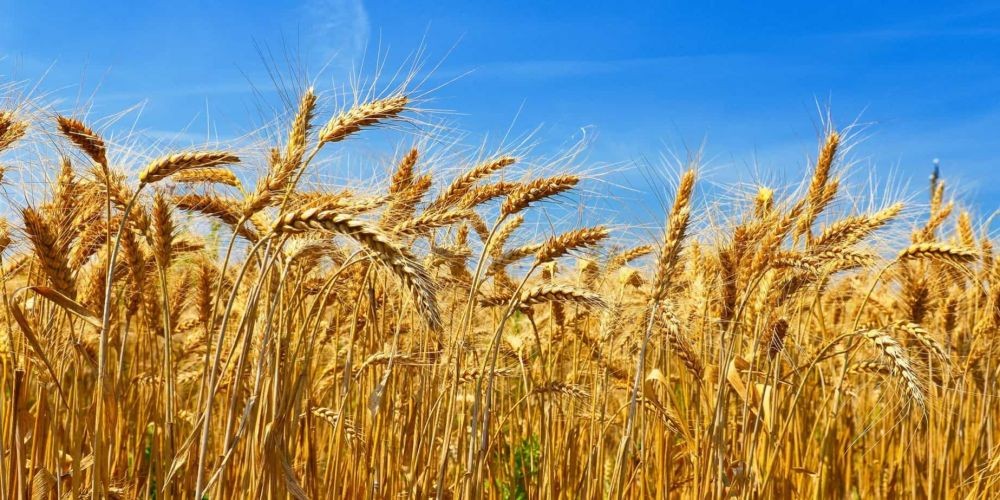 7 Alasan Ilmiah Kamu Bisa Menilai Sesuatu Cantik atau Jelek, Itu Alami