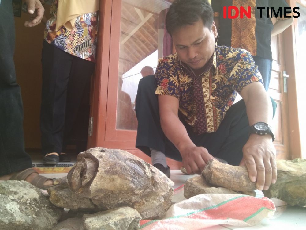 Ditemukan Fosil Hewan Purba, Desa Ini Ingin Mendirikan Museum 