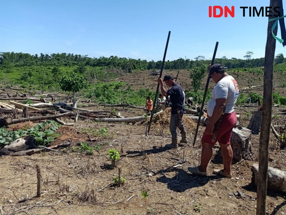 Jalanan di Panajam Kian Mulus, Petani Lebih Mudah Pasarkan Hasil Sawah