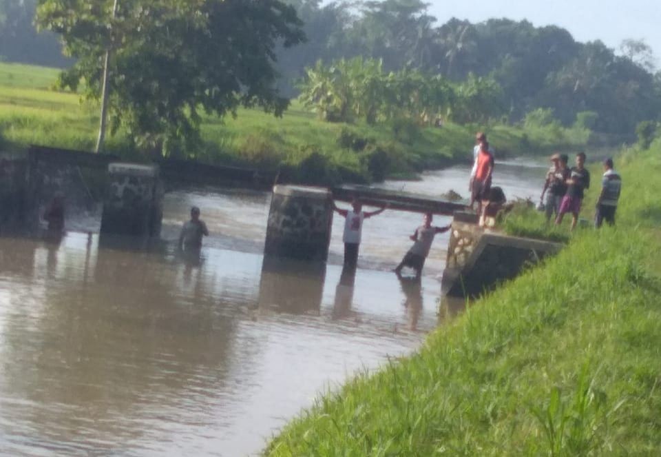 Buaya di Sungai Oya Gunungkidul Diduga dari Karantina Hutan Bunder