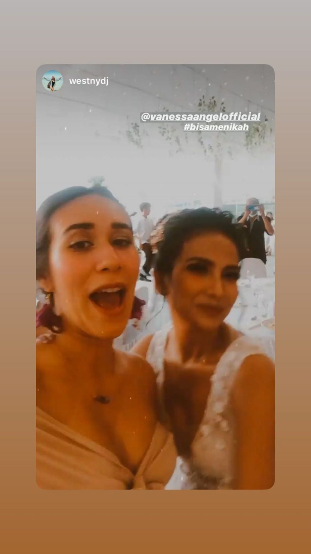 Ada Nicky Tirta, 10 Potret Keseruan Seleb di Resepsi Vanessa dan Bibi