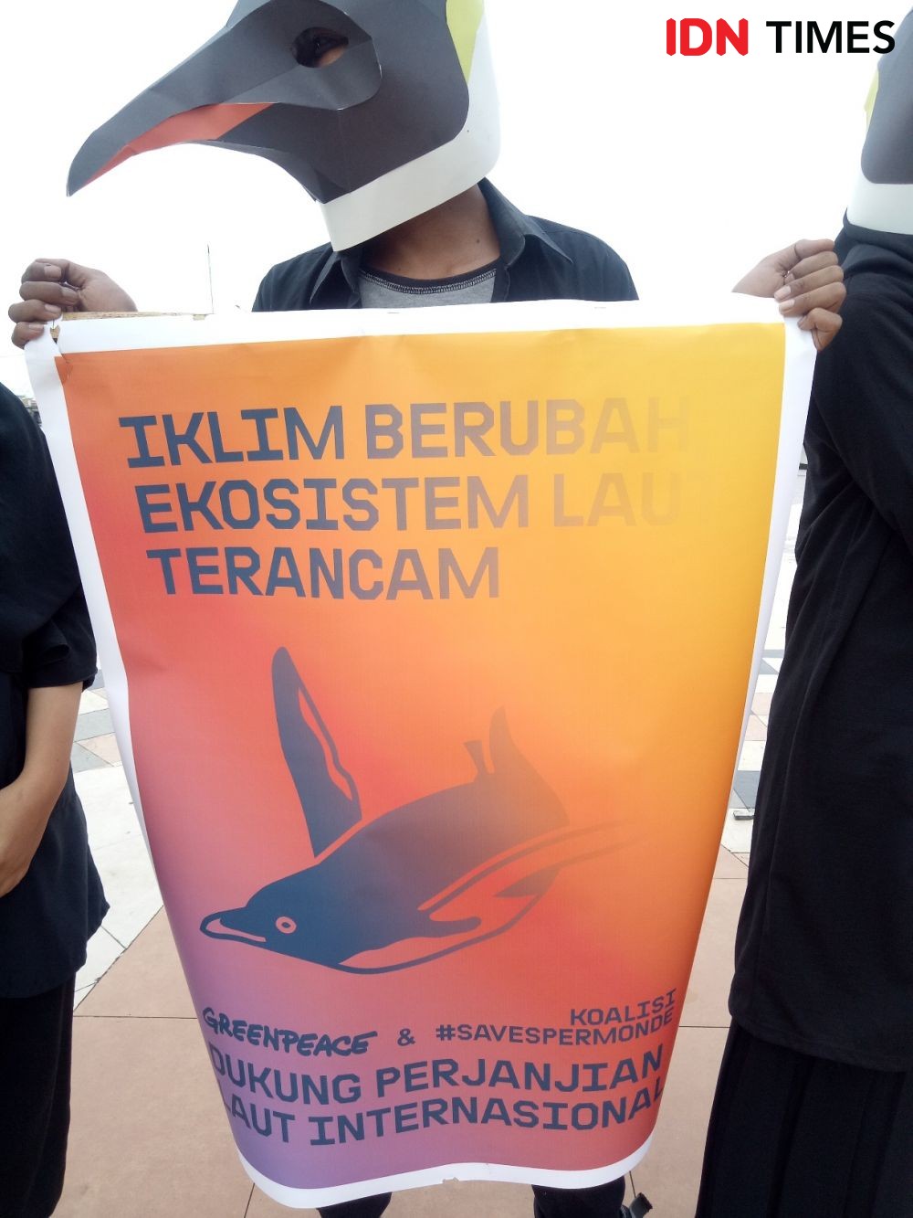 Di Makassar, Greenpeace Gelar Aksi Damai Pakai Kostum Penguin