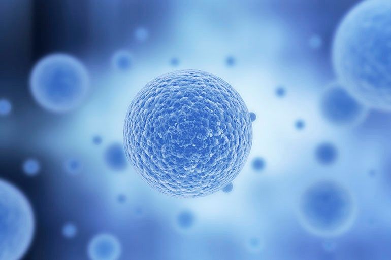 Manfaat dan Risiko Stem Cell, Benarkah Juara Anti-Aging? 