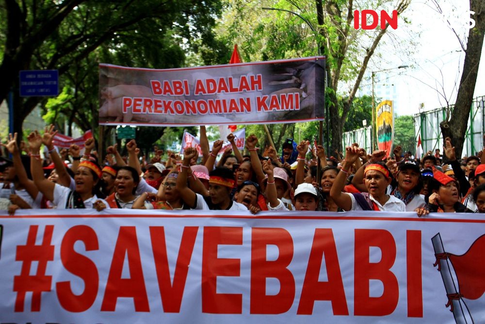 Demo #SaveBabi, Gubernur Edy Bingung: Siapa yang Mau Memusnahkan?