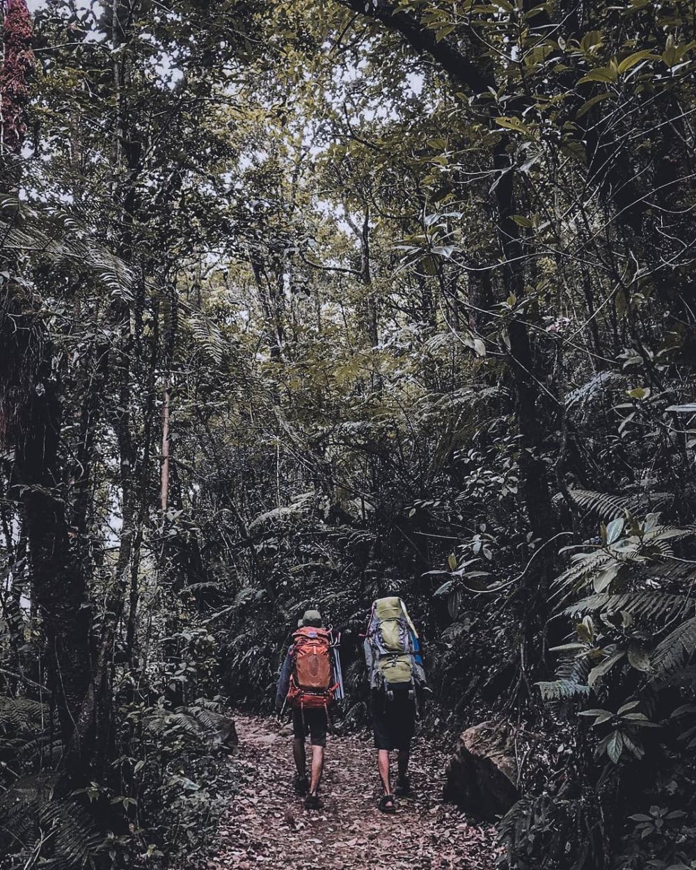 10 Gunung di Pulau Jawa yang Dikenal Paling Angker, Berani Mendaki?