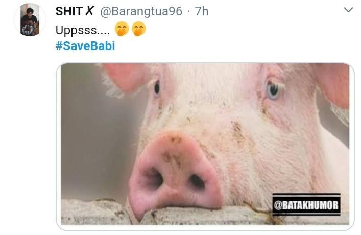 Babi dari Medan dan Bali Dilarang Masuk Jateng, Tangkal Hog Cholera
