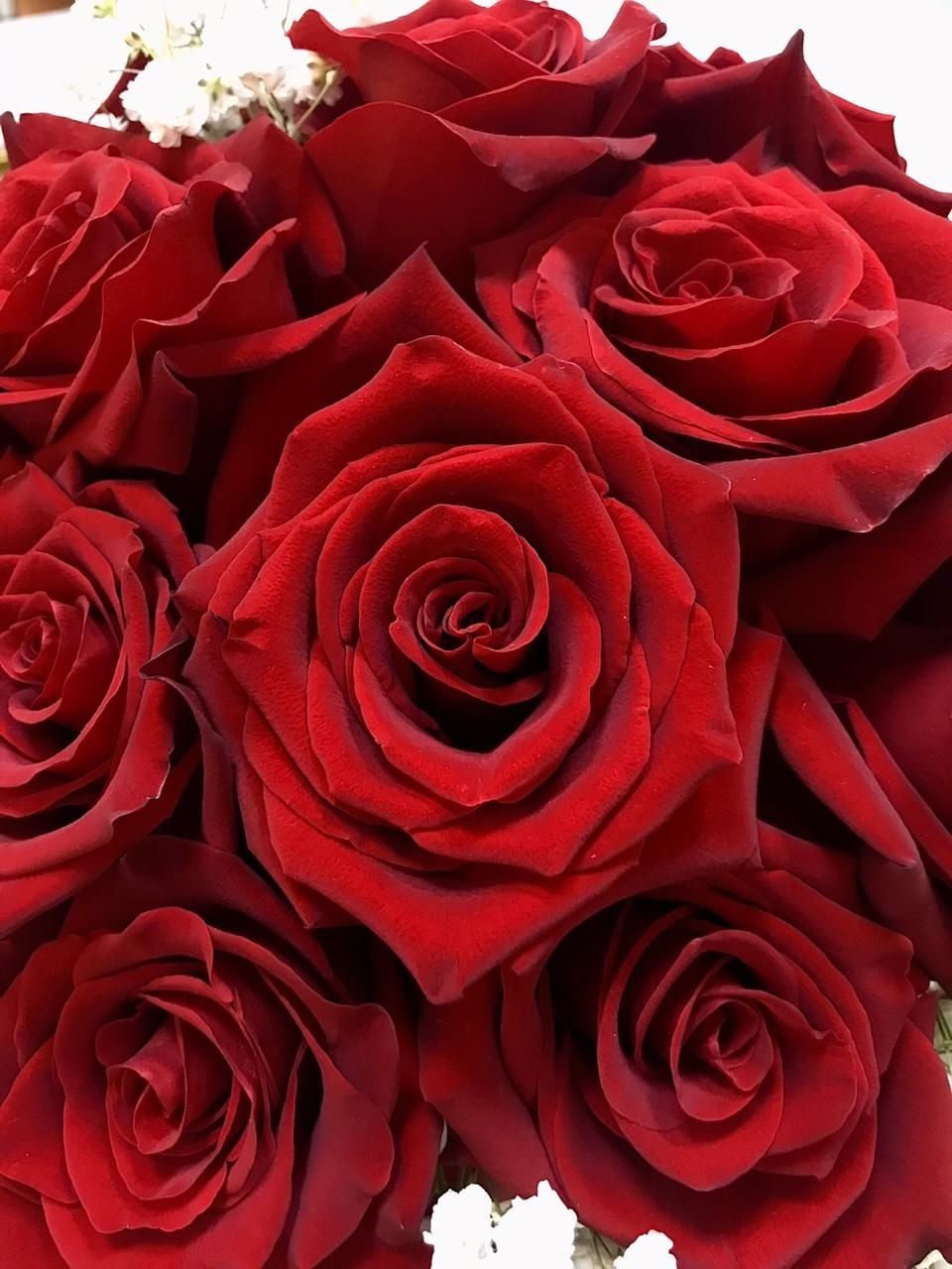 Jelang Valentine, Pembeli Rose Merah Melonjak Dua Kali Lipat
