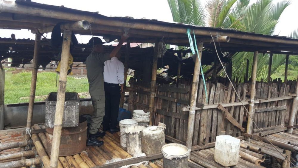 Dianggap Meresahkan, Satpol PP Tertibkan Peternakan Babi di Makassar 