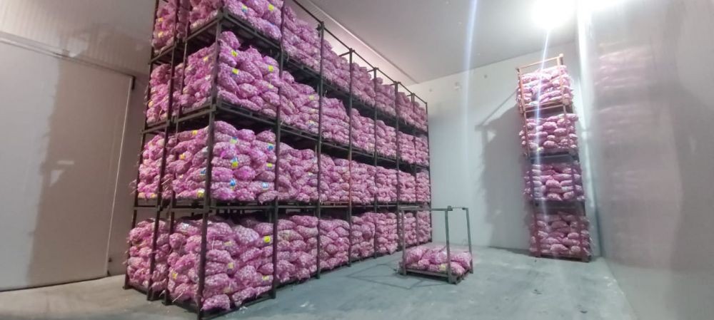 Distributor Kepergok Timbun 29 Ton Bawang Putih di Tengah Kelangkaan