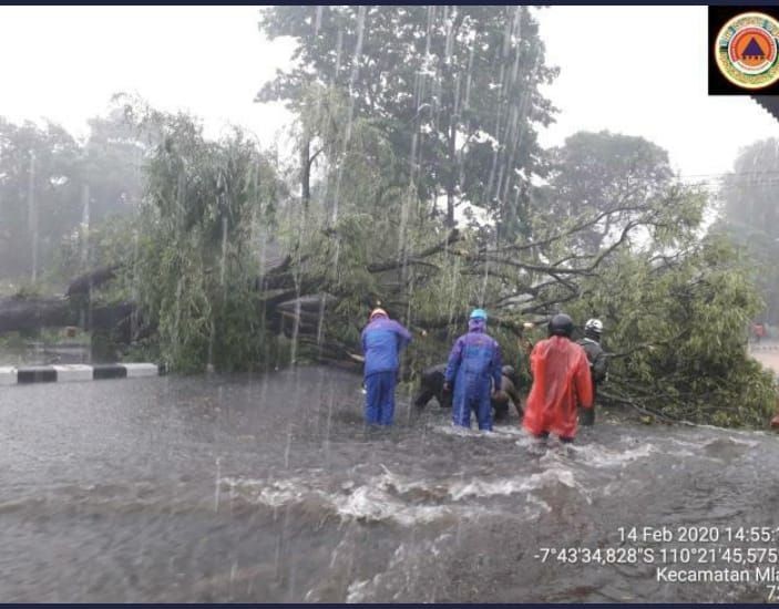 [FOTO] Cuaca Buruk di Sleman Pohon Ambruk Timpa Mobil di Bundaran UGM 