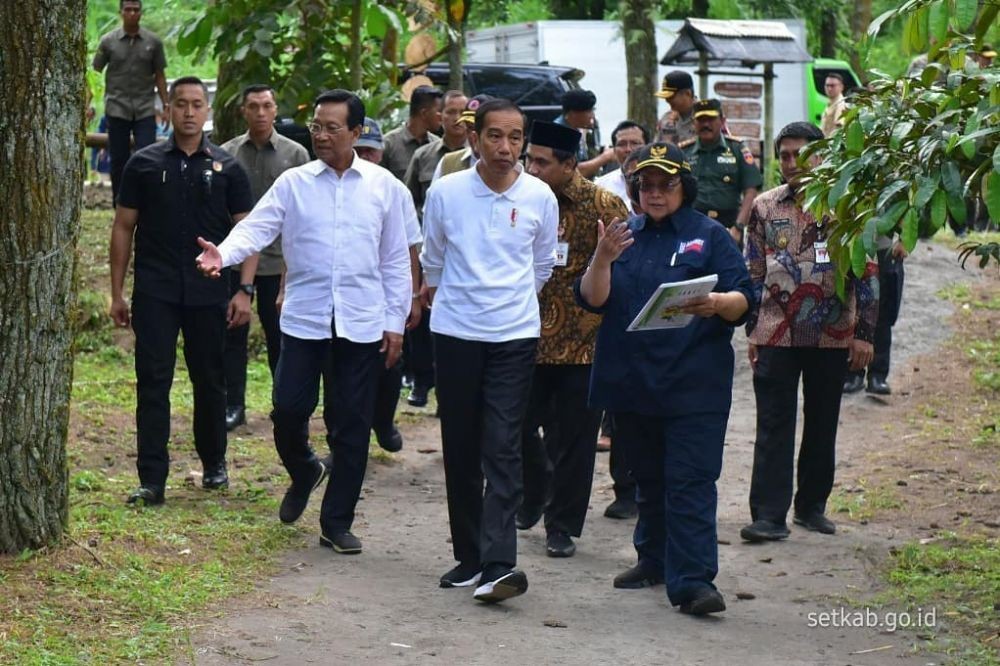 Jokowi Lepas Abu dan Rossy Sepasang Elang Jawa di Gunung Merapi