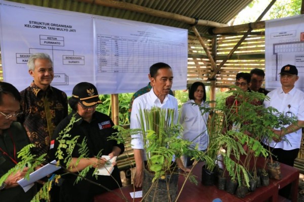 Jokowi Ajak Tanam Vetiver Tanggulangi Sedimentasi Waduk Gajah Mungkur