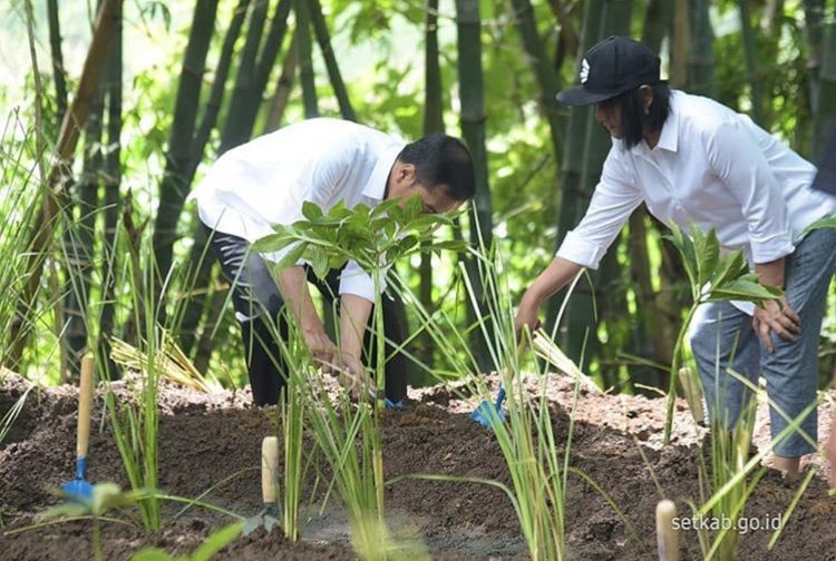 Jokowi Ajak Tanam Vetiver Tanggulangi Sedimentasi Waduk Gajah Mungkur