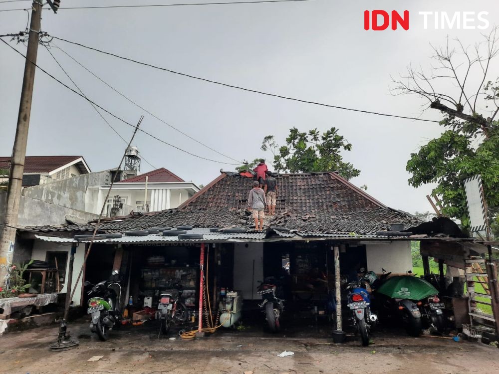 Hujan Angin di DIY: Pohon Bertumbangan, Rumah Rusak, Satu Orang Tewas