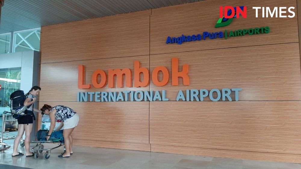 Bahayakan Penerbangan, Petugas Tertibkan Kerbau Sekitar Bandara Lombok