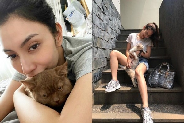 Sayang Binatang, 10 Artis Ini Pelihara Kucing Bak Keluarga Sendiri