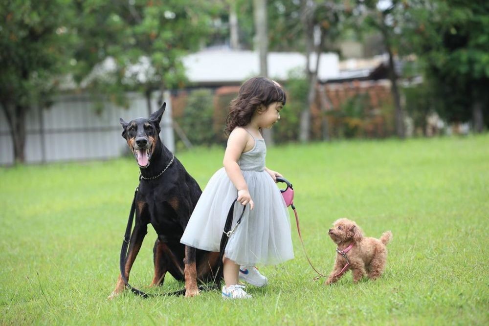 Bak Keluarga, Potret Bima Aryo hingga Sophia Latjuba dengan Anjingnya 