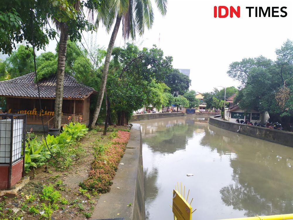 16 Persen Taman dan RTH di Palembang Bakal Dipenuhi Kembang Kertas