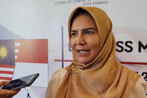 Membaca Peluang Investasi, Kadin Kaltim Tunggu UU IKN Disahkan