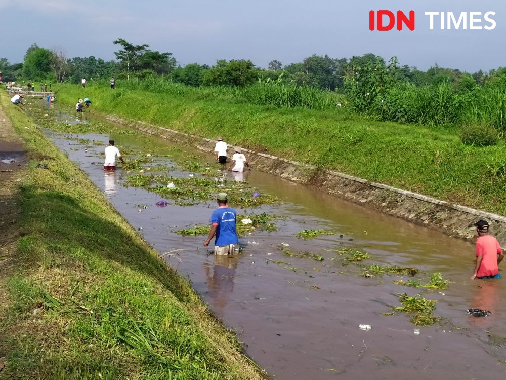 Ratusan Petani dan Muspika Kalasan Bersihkan Sampah Selokan Mataram 