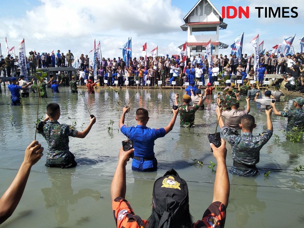 Panglima TNI: Mangrove Terbukti Lindungi Pantai dari Tsunami