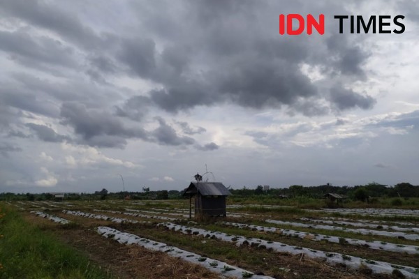 Tips Hindari Sambaran Petir, Waspada Buat yang Bawa Handphone