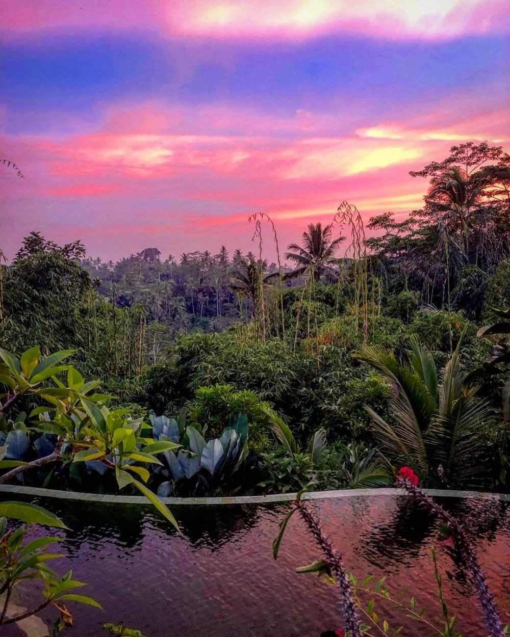 Info Rute, Lokasi, Harga, dan Tips ke Glamping Sebatu Sanctuary Bali