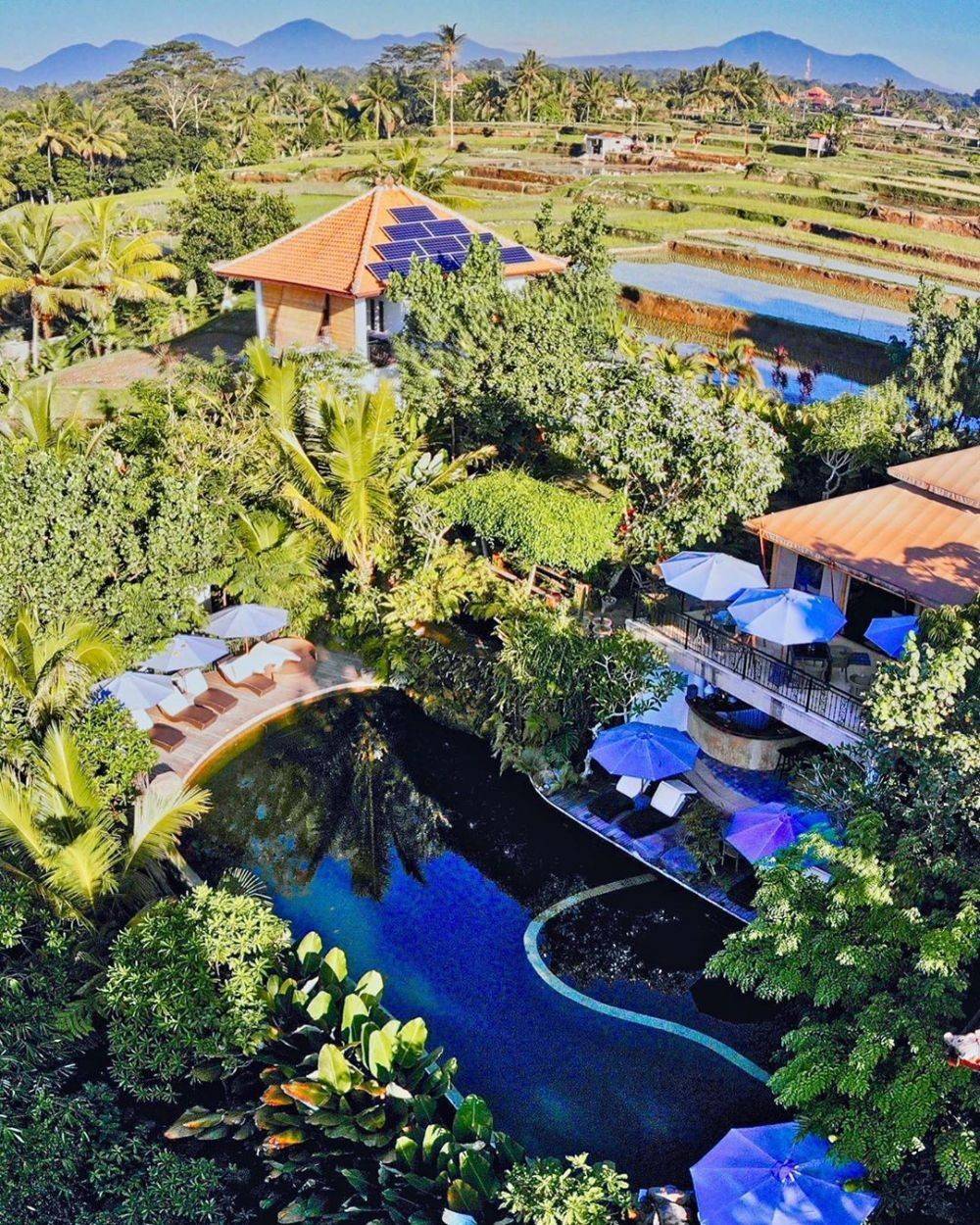 Info Rute, Lokasi, Harga, dan Tips ke Glamping Sebatu Sanctuary Bali