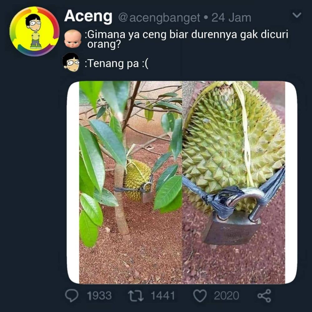 48 Gambar Meme Lucu Durian Terbaru Mymeku